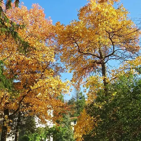 Giotto Park Bivigliano